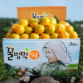 달콤새콤 꿀범벅 타이벡 감귤 4.5kg소과(2S o S), 4.5kg 소과(2S o S), 1개