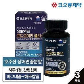 관절건강 콘드로이친 1000mg 호주산 상어연골 3개월분, 1개, 90정