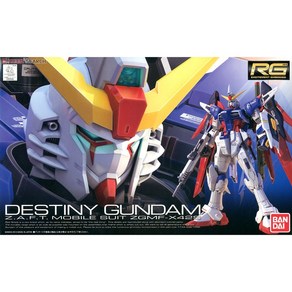 반다이 [RG_11] ZGMF-X42S DESTINY GUNDAM_데스티니 건담 프라모델, 1개