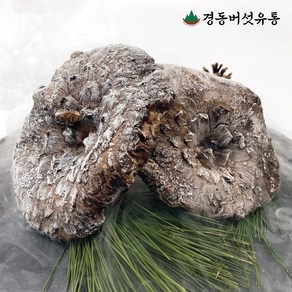 [경동버섯유통 송이 능이] 자연산 능이버섯 / 냉동 1kg 냉동능이/특A급 A급 B급 C급 P급 육수용