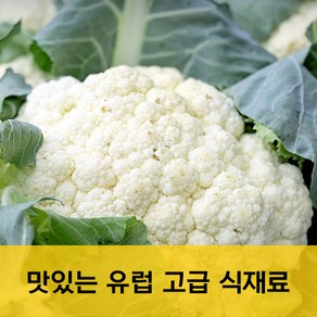 유럽 고급식재료 콜리플라워 꽃양배추 500g 이유식컬리플라워 칼리플라워 양배추 유럽야채 이유식콜리플라워, 1개