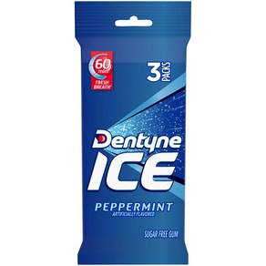 Dentyne Ice Peppermint Sugar Free Gum 3 Packs of 16 Pieces (4 Dentyne Ice 페퍼민트 무설탕 껌 16개입 3팩(총 48개