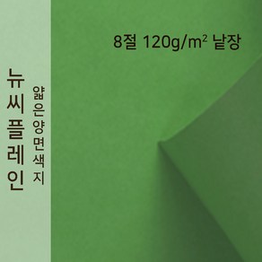 종이문화 얇은 양면색지 뉴씨플레인 120g 8절 낱장 1매 No.60 초록, 1장