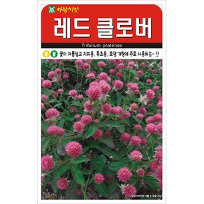 세인화분 레드 클로버 20g - 클로바 커몬 씨 씨앗, 1개