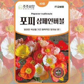 [주주씨앗] F1교배종 포피 샴페인버블 혼합 30립 종자 씨 꽃양귀비 아이슬란드양귀비 종자 씨 꽃씨, 1개