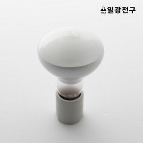 일광 반사구 100W 파충류 스팟조명 열전구 발열전구 히팅램프