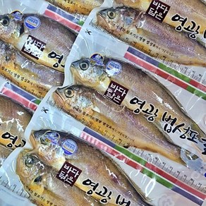 영광 법성포 간편 진공포장굴비, 1개, 1.7kg (20.5cm 내외 20마리)