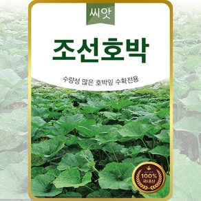 조선호박씨앗 20립 국내산 호박잎 전용 씨 종자, 1개