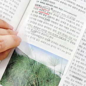 HALFMOON 점착식 오답노트 투명 메모 포스트잇 M 200매 + L 200매 세트, 1세트