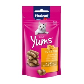 비타크레프트 캣얌 고양이 스낵, 치즈, 40g, 9개