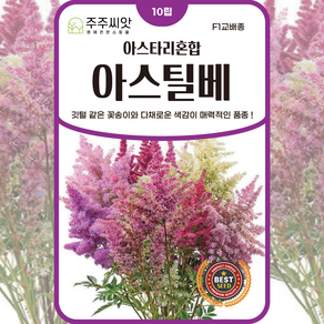 [주주씨앗] F1교배종 아스틸베 아스타리 혼합 10립 노루오줌 꽃씨앗 봄 가을 파종 키작은 꽃씨, 1개