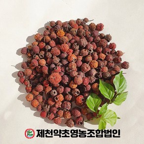 국산 산사 500g 제천약초영농조합 제천약초시장, 1개