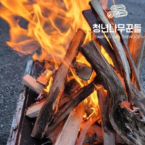 청년나무꾼들 캠핑 기계건조 국산 참나무 장작, 15kg, 1개