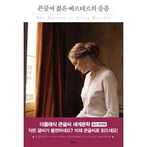 젊은 베르테르의 슬픔(큰글씨):, 더클래식, 요한 볼프강 폰 괴테 저/허승진 역