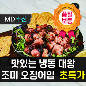 [[초특가이벤트]] 쫄깃하고 담백한 냉동 대왕 조미 오징어입, 1박스, 냉동대왕 조미 오징어입 500g내외