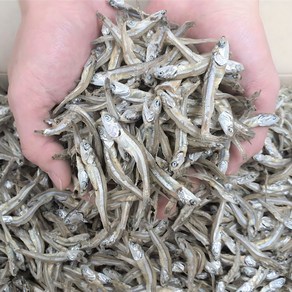 [삼대원] 국내산 특상급고바멸치 1.5kg 고바멸치 중멸치 고추장멸치 안주멸치, 1개
