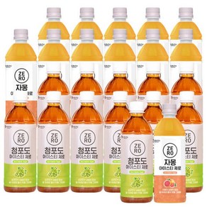 맥널티 제로 아이스티 자몽 500mlx12입 + 청포도 500mlx12입 제로음료, 1세트, 500ml