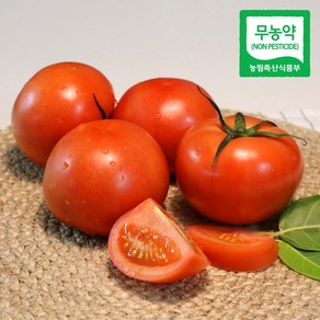 (산지직송) 친환경 봄춘 무농약 완숙 토마토, 5kg(가정용,쥬스용,못난이), 1개