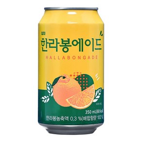 한라봉 일화 에이드, 350ml, 48개