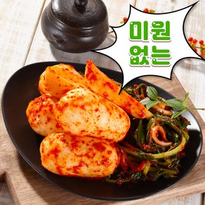 [올바른팜] 미원없는 100%국산 총각김치 알타리김치, 1개, 1kg