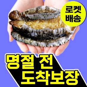 복다미 전복선물세트 특대 완도전복직거래, 10호 2kg, 1세트, 2kg