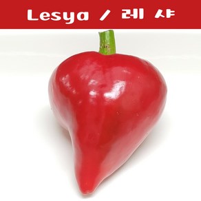 레샤 파프리카 Lesya 달콤하고 희귀한 하트모양 파프리카 희귀고추 교육체험용 세트, 1개