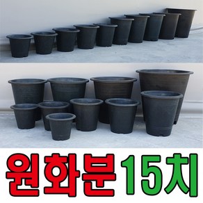 세이프24 원화분 나무화분 원형화분 국화분 꽃화분 블루베리화분, 1개, 검정