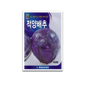 모칸도 동원종묘 적양배추 100립