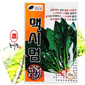 소포장 봄 가을 겨울 월동 맥시멈 시금치 씨앗 25g 포항초 섬초 종자, 1개