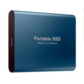 온열안대 노트북 데스크탑용 외장 하드 드라이브 1.8 인치 디스코 듀로 USB 3.0 C타입 SSD 500GB 1TB, 02 파란, 07 500G