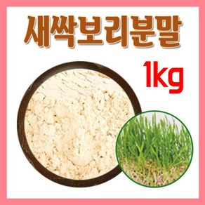 수경재배 새싹보리분말(뿌리까지) 500g×2팩 황금새싹보리 분말, 2개, 500g