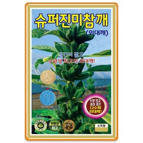 영농사 슈퍼 진미 참깨 씨앗 3000립 KS종묘, 1개