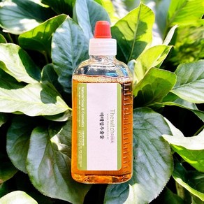 [더위치] 마테잎추출물 100ml Ilex Paaguaiensis Leaf Extact, 1개