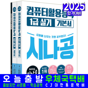 시나공 컴활 1급 실기 교재 책 컴퓨터활용능력 기본서 2025