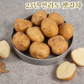 쿠팡! - 러셋감자 쿠팡! - 러셋감자
