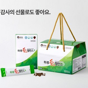 하루애 밸런스 30포 1박스 차전자피 식이섬유 건강기능식품, 30개, 10g