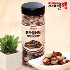 브라질너트 500g 1kg, 1개, 500g (지퍼백)