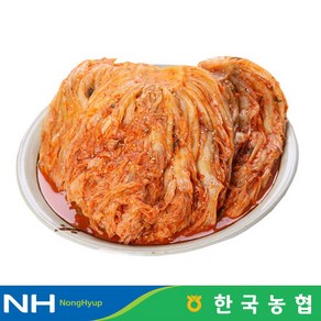 한국농협 마이산김치 국내산 묵힌김치 1kg, 1개