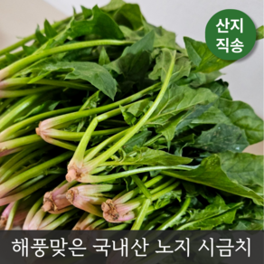 해풍맞고 자란 섬초 노지 시금치, 1개, 1kg