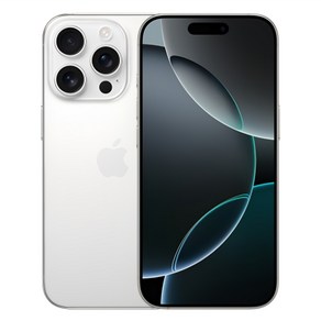 Apple 정품 아이폰 16 Po 자급제, 화이트 티타늄, 256GB