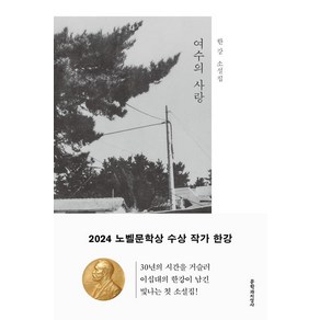 여수의 사랑 - 2024 노벨문학상 수상 작가 한강 저자 책, 문학과지성사