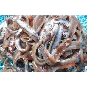 기장생멸치 손질 멸치횟감 회무침용, 1개, 1kg