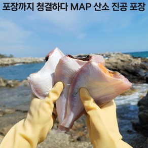 중매인직접 판매 경매 손질 발송 국내산 손질 생물 참가자미 MAP 산소 포장 최초, MAP 산소진공포장 생물 참가자미 2마리 400g, 1개