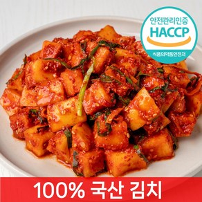 [전라도찐맛] 당일제조 깍두기김치, 1개, 3kg