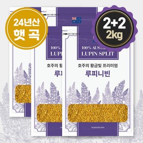 셀더바이 루피니빈 루피니빈 콩 루핀콩 효능 호주산 곡물 콩 저당, 1개, 2kg