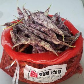 국내산 햇호랑이콩 껍질4kg(내외)/2kg 깐호랑이콩 2kg/1kg