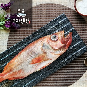 반건조 제수용생선 적어 빨간고기 장문뽈락(망미중앙시장 부자생선), 적어 소, 1개