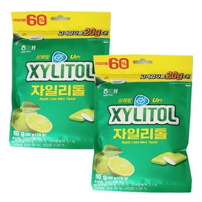 해태 자일리톨 애플민트 껌 리필 110g