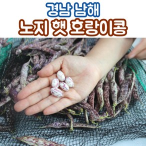 국산 햇 호랑이콩 강낭콩 1kg 3kg 5kg