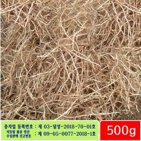 어성초뿌리 500g - 잘키운 어성초생뿌리 종자 씨앗, 1개